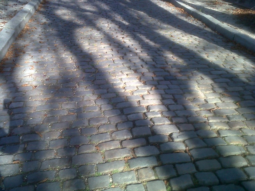 pavés